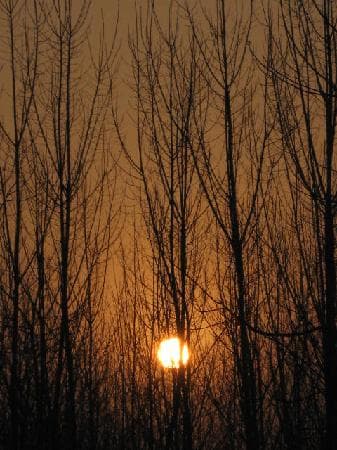 Travel to gaomi, China