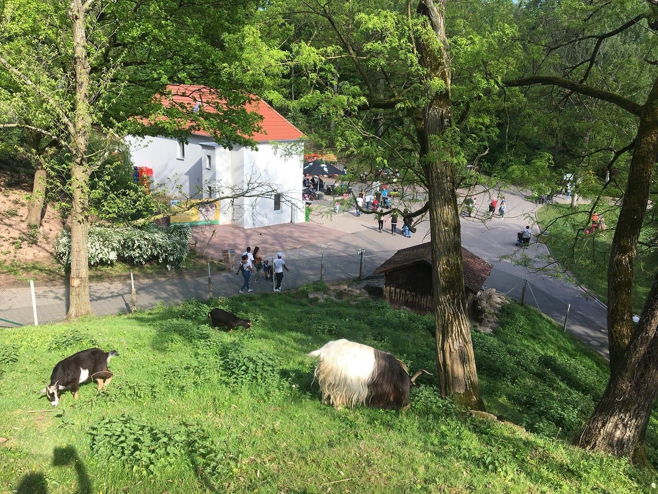 Saarbrücken Castle (Saarbrücker Schloss)