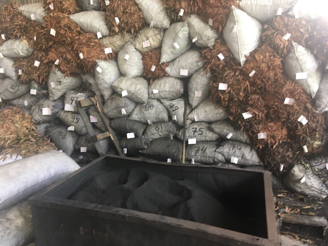 Travel to bunia, Congo (Kinshasa)