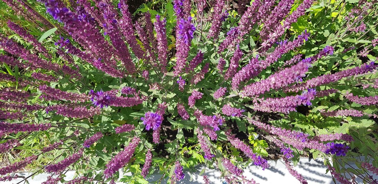 Travel to balashikha, Russia