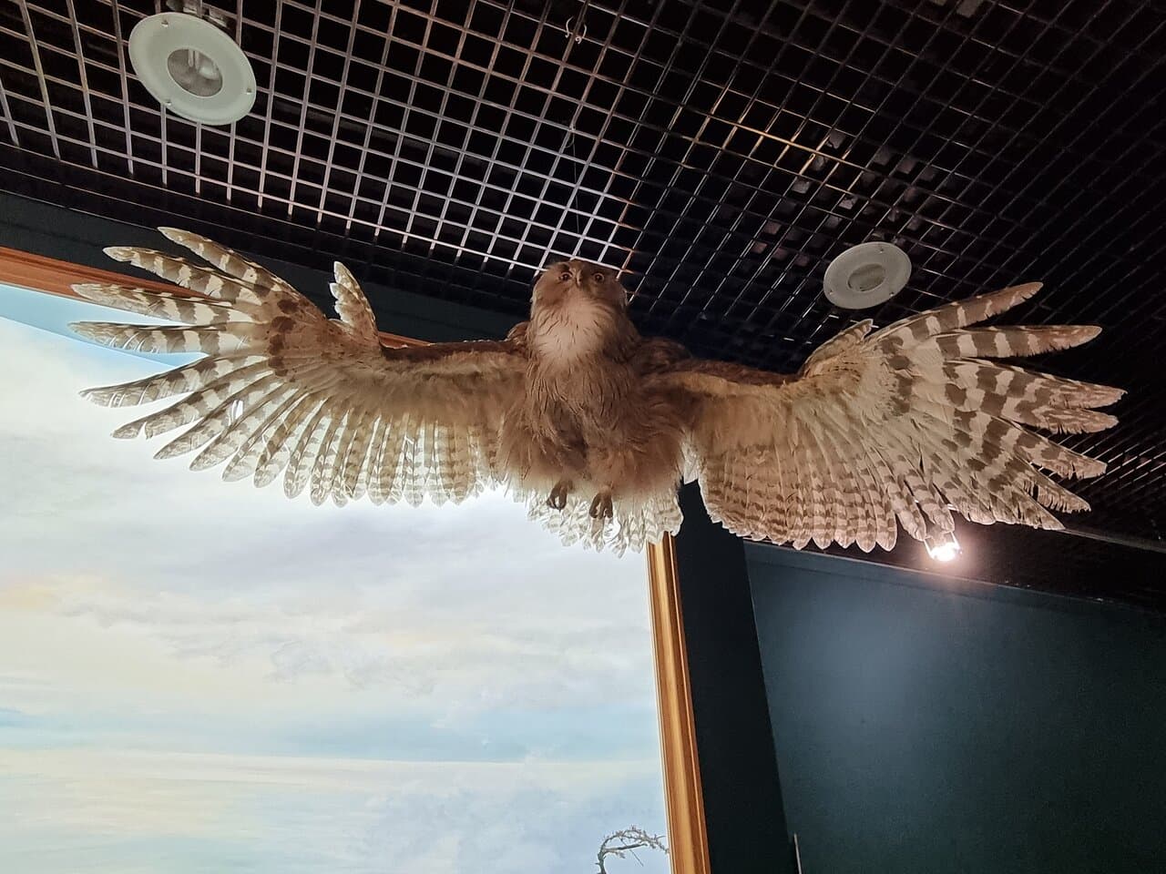 Khabarovsk Regional Museum named after N.I. Grodekov