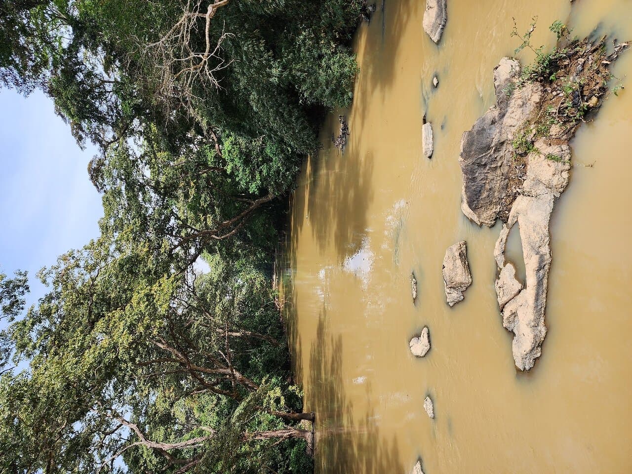 Osun-Osogbo Sacred Grove