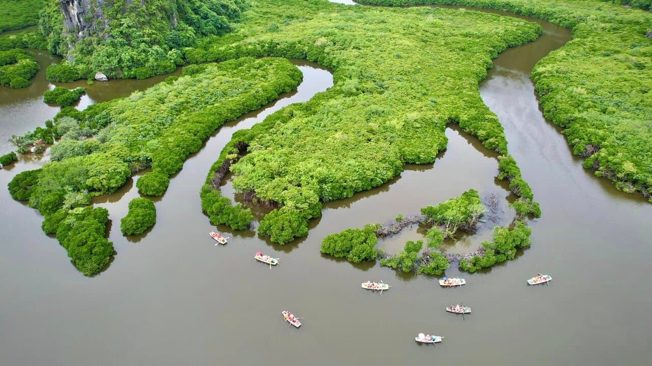 Various hotels along Bãi Cháy
