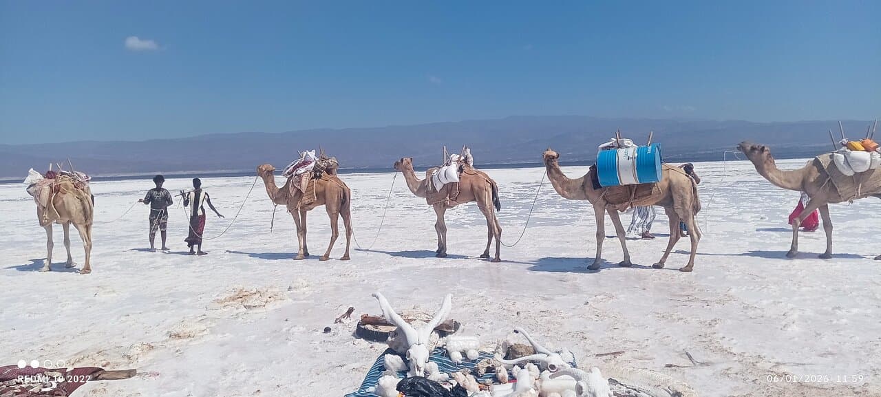 Travel to djibouti, Djibouti