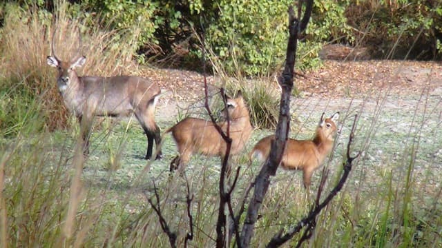 Bauchi Emir's Palace