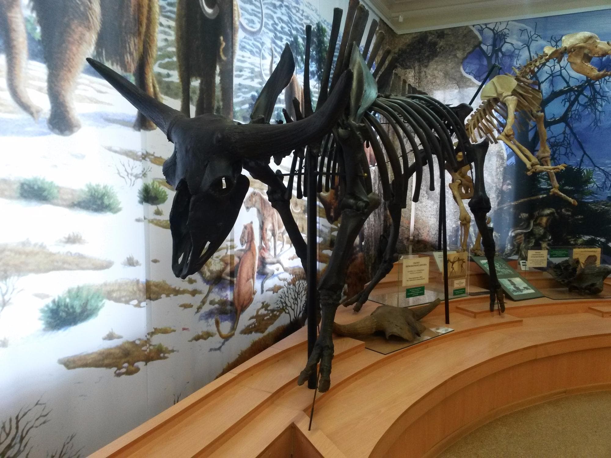 Tyumen Museum of Local Lore