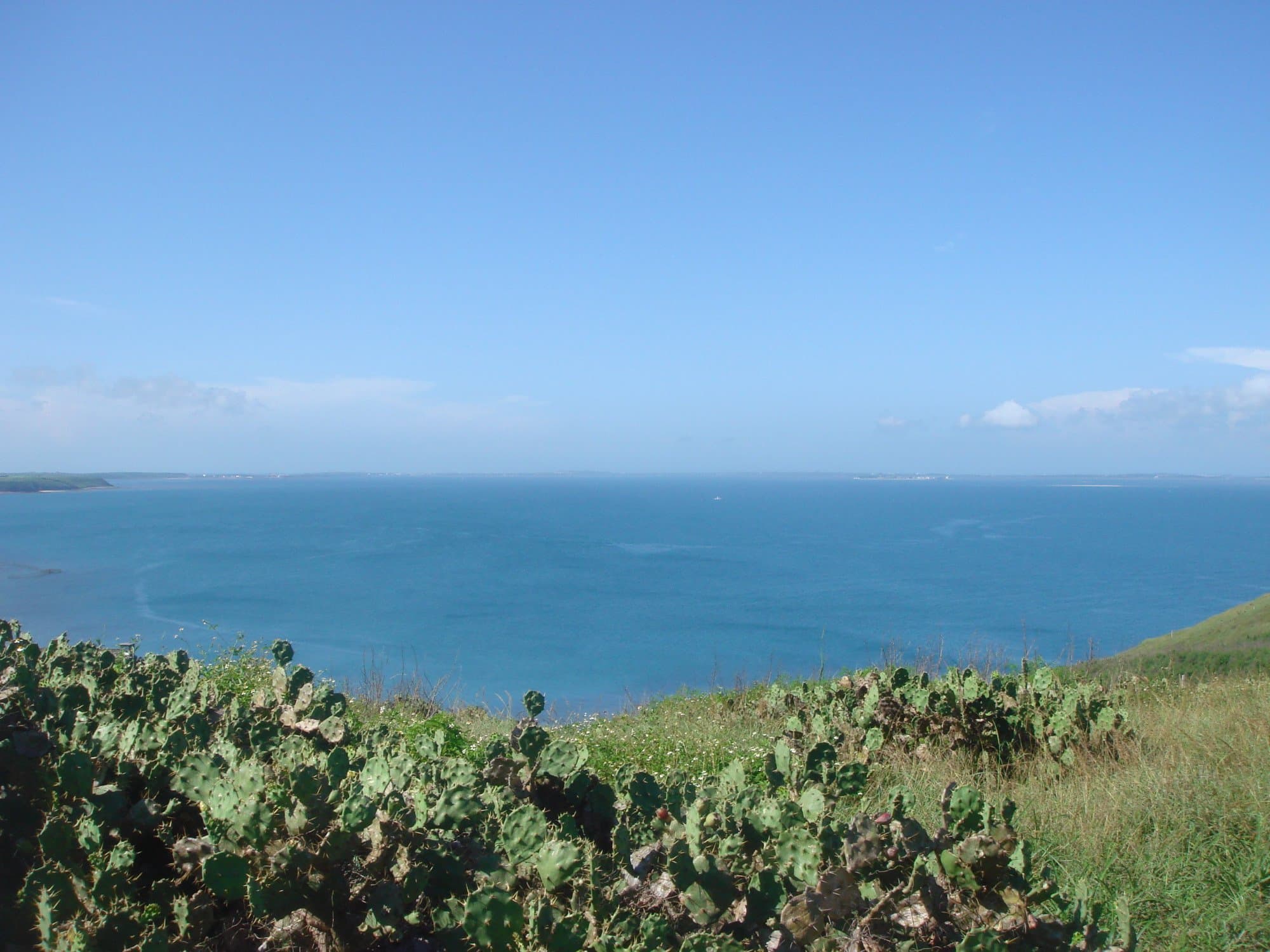 Travel to dongtai (showing Dongtai Ancient Street)