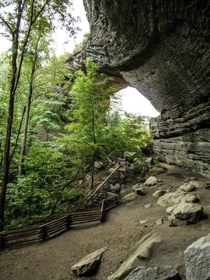 Donghu Lake Scenic Area