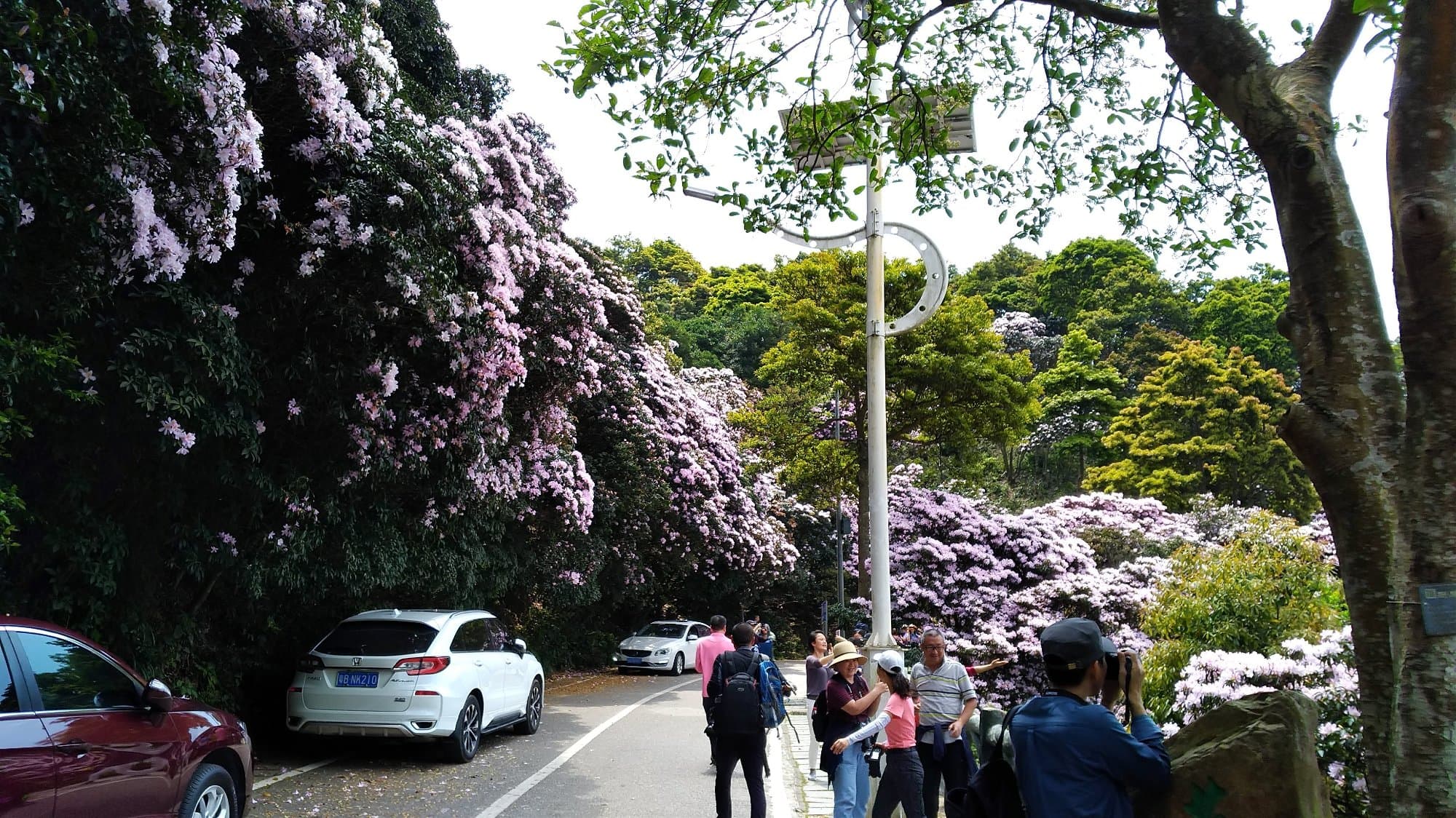 Wutong Ancient Temple