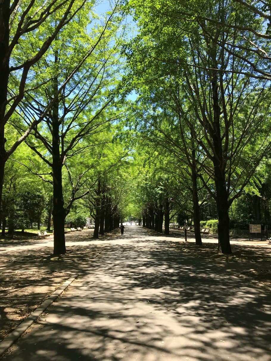 Hikarigaoka Park