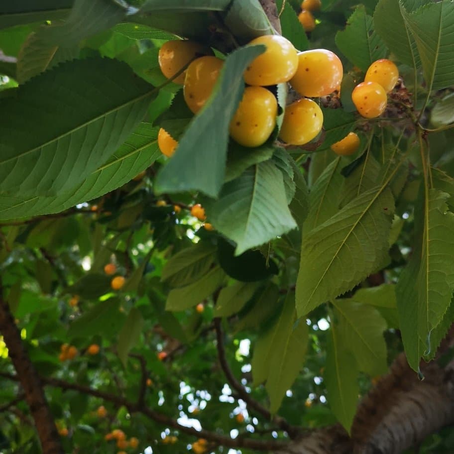 Travel to zhuozhou, China