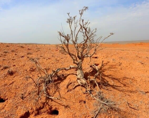 Travel to qaraghandy, Kazakhstan