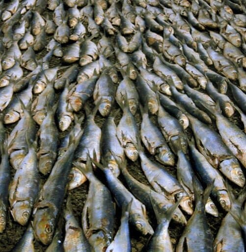 Travel to cuanza-norte, Angola