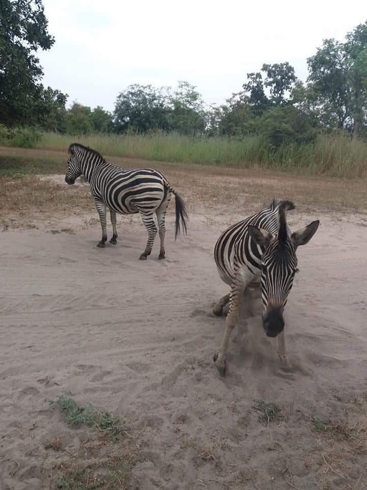 Travel to pikine, Senegal