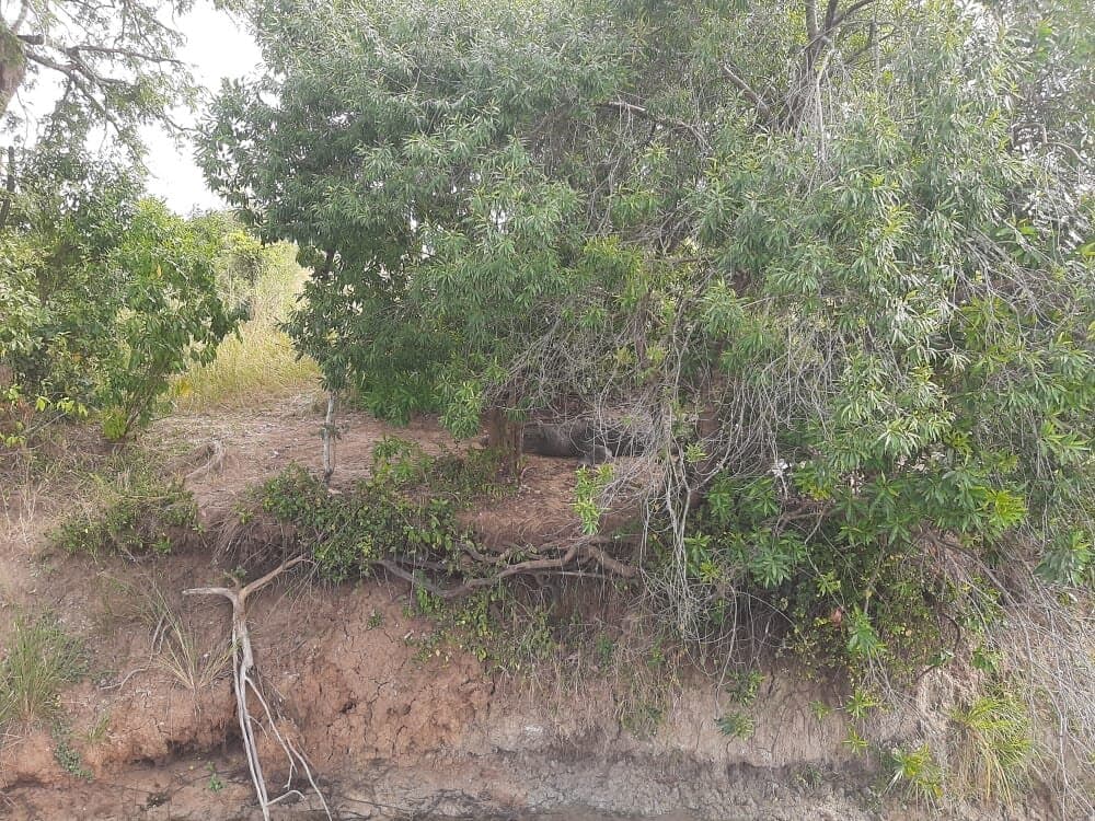 Travel to blue nile, Sudan