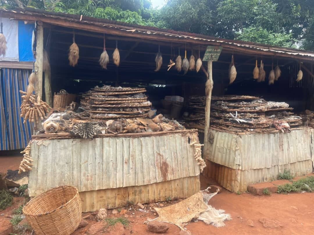 Travel to zou, Benin