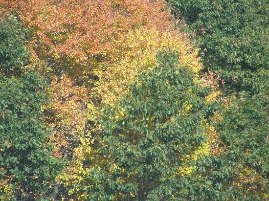 Travel to new hampshire, United States