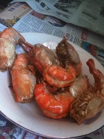 Travel to jambi, Indonesia