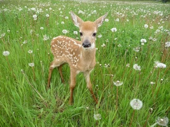 Travel to saskatchewan, Canada