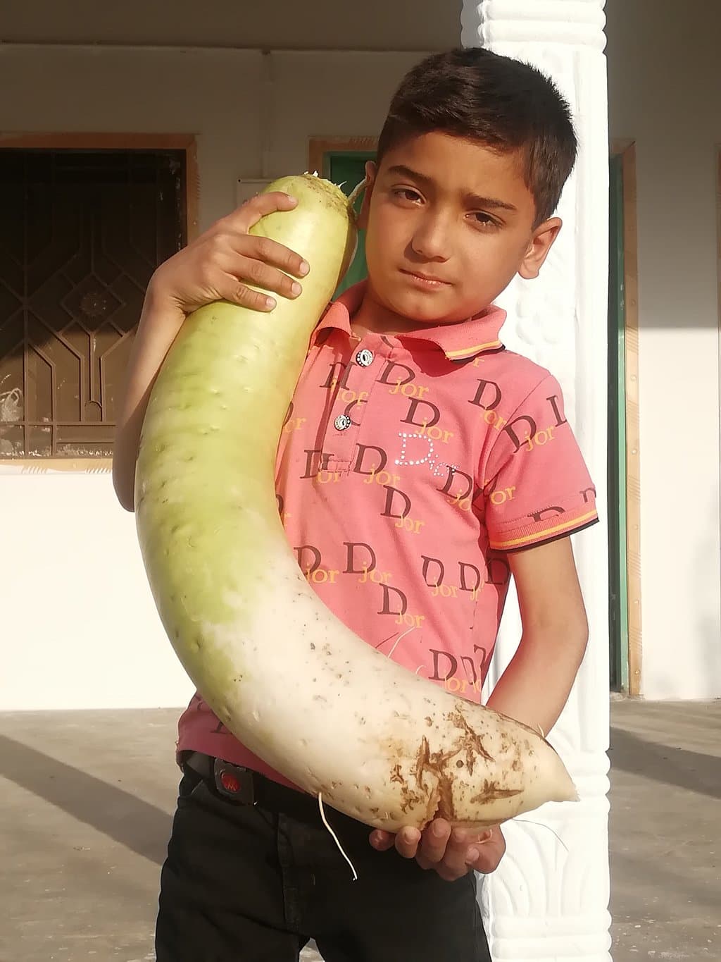 Travel to pindi bhattian, Pakistan