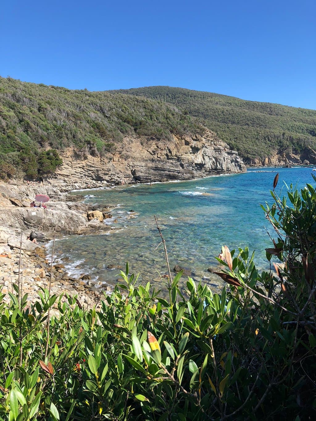 Buca Levantine Houses District