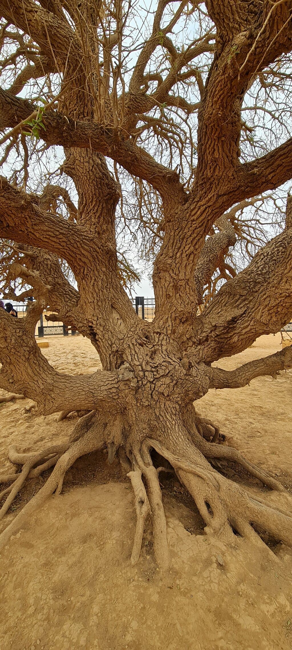 Al Mafraq Heritage Museum