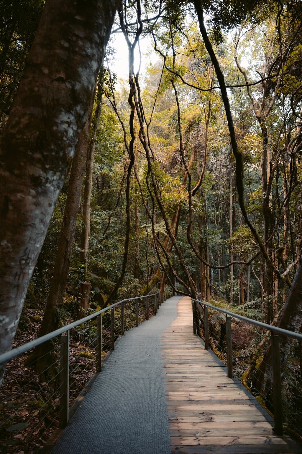 Travel to wugang (showing Yunshan Mountain Scenic Area)
