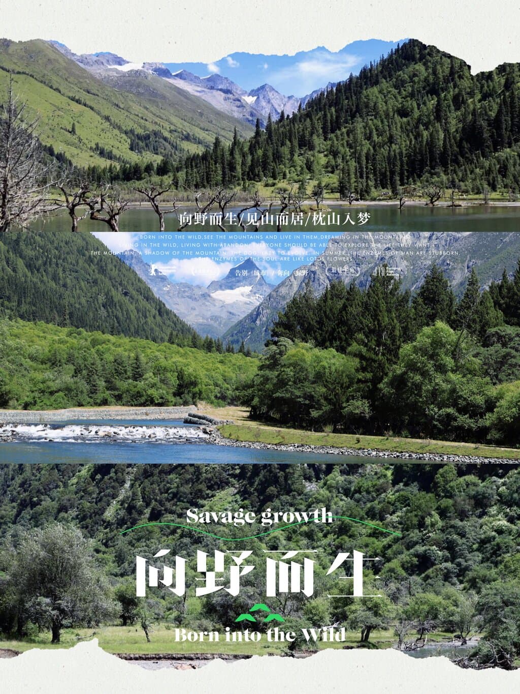 Shuangqiao Old Street