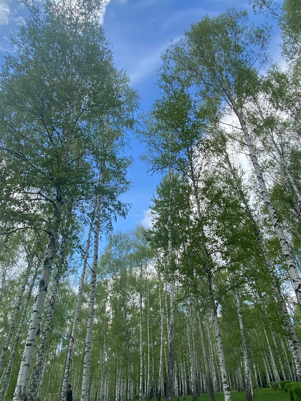 Travel to ryazan, Russia