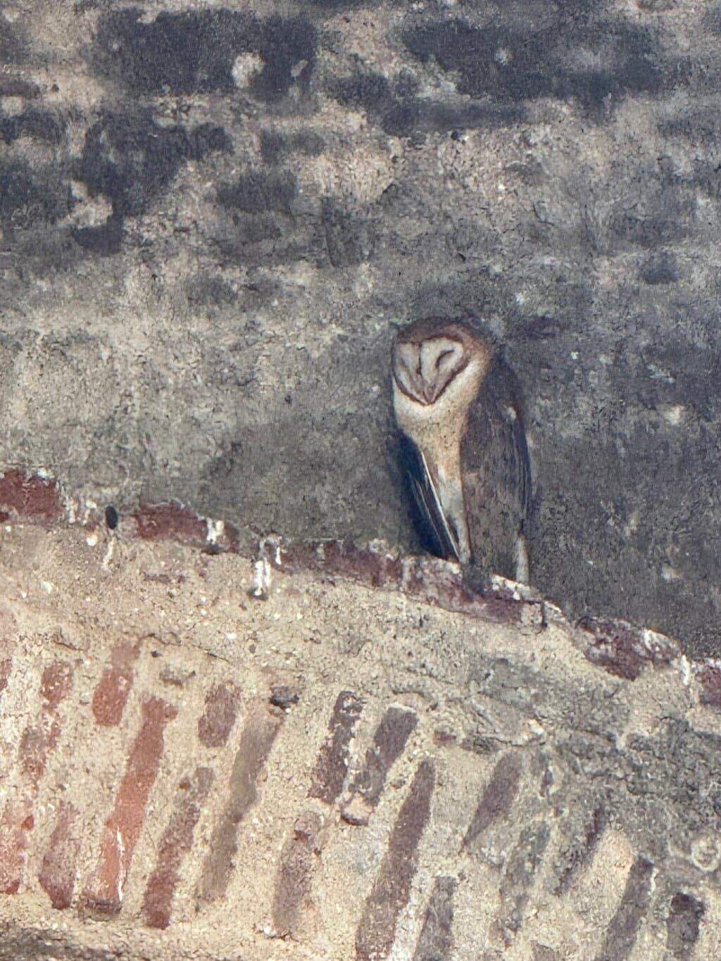 Parque Central and Catedral de San Bartolomé